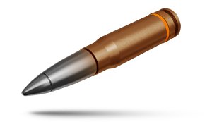 BR-350B «Standard»